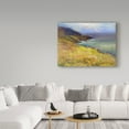 thumbnail image 3 of Trademark Fine Art 'Ring Of Kerry, Ireland 4' Canvas Art by Hall Groat Ii, 3 of 3