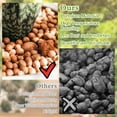 thumbnail image 6 of 20 LBS Organic Expanded Clay Pebbles, 4mm -16mm Light Expanded Clay Aggregate, Natural Clay Pebbles for Hydroponic & Aquaponics Growing, Orchid Potting Mix, Dutch Buckets, Drainage, 6 of 7