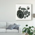 thumbnail image 3 of Trademark Fine Art 'Mineralize III' Canvas Art by Victoria Borges, 3 of 4