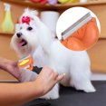 thumbnail image 1 of Peine para quitar el pelo de mascotas, peine de masaje para el cuidado de mascotas, cepillo para el cuidado de mascotas, peine para mascotas meticulosamente diseñado, 1 of 9
