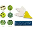 50 Pack Sticky Traps for Indoor/Outdoor Use, Gnat Trap for Flying Plant