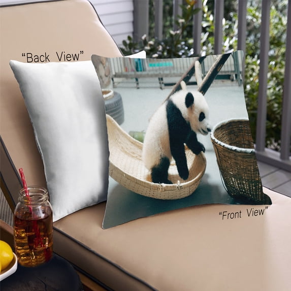 Ahgly Company Animals Bear Outdoor Throw Pillow, 18 inch by 18 inch
