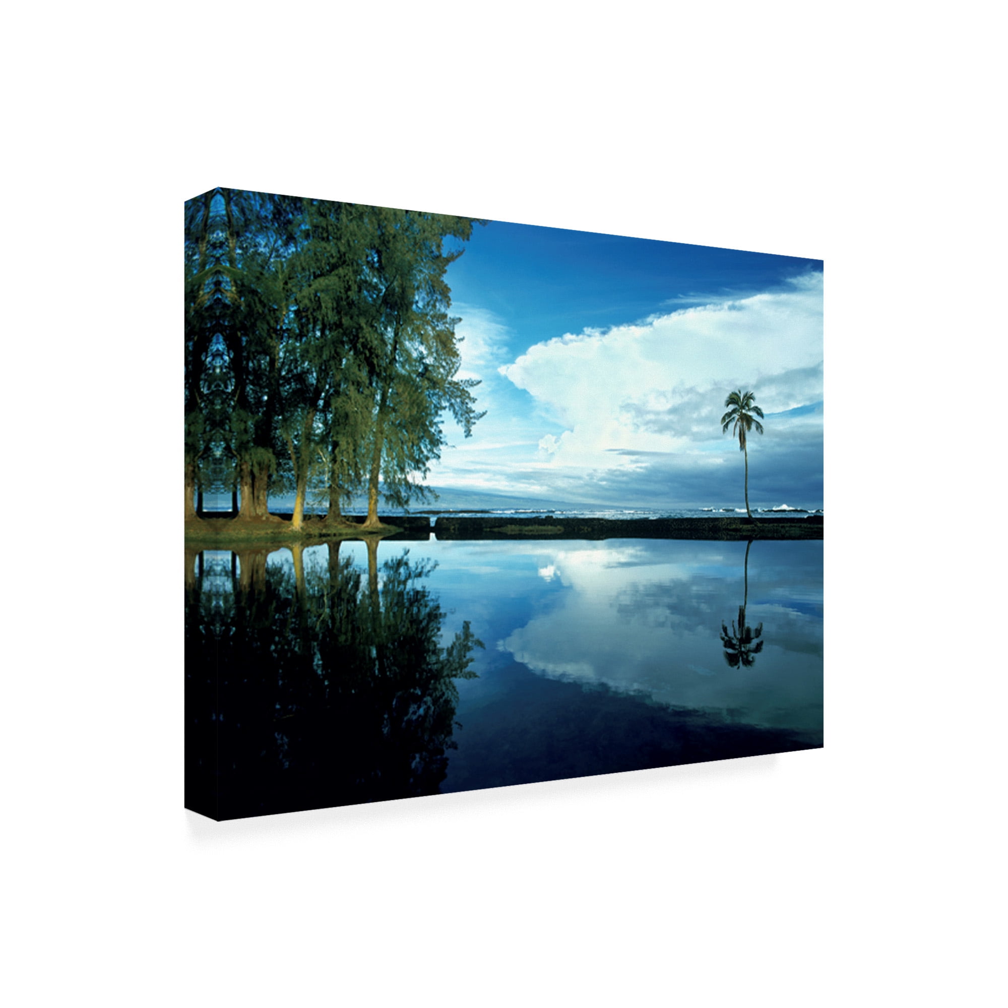 Trademark Fine Art 'Palm Tree Alone Big Island Hawaii' Canvas Art by Monte Nagler