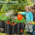 thumbnail image 3 of Fabulas Potato Grow Bags, 6 Pack 10 Gallon Potato Planter with Reinforced Handles and Harvest Window, Heavy Duty Nonwoven Fabric Pots for Growing Potatoes Tomatoes Carrots Vegetables, 3 of 6