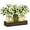 Green, variant on KitchenKey 3 Pcs Mason Jar Centerpiece Table Decorations for Dining Farmhouse Coffee Table Decor with Wood Tray and Led Light Table Centerpieces for Dining room Kitchen Living Bathroom,Green