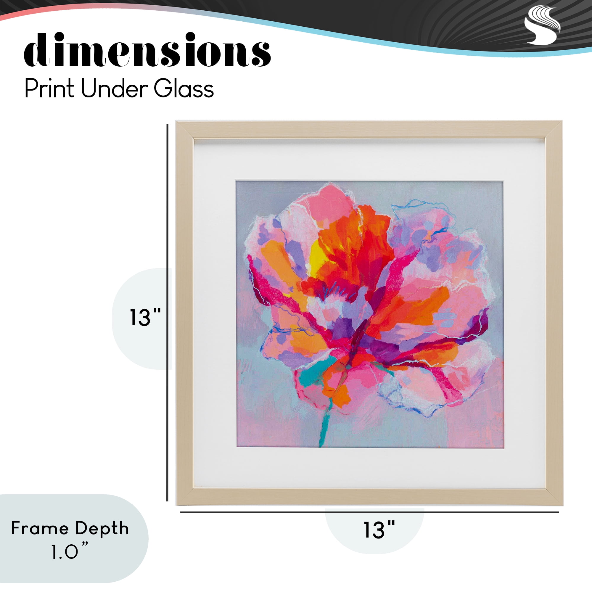 Stupell Industries The Open Petal Expression Birch Framed Print Under Glass, design by Chromatic Storm Studio