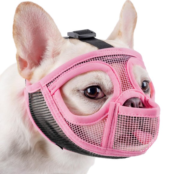 Bozal Mayerzon para Perros de Hocico Corto para Bulldog Francés y Shih Tzu