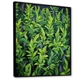 thumbnail image 2 of Designart "Tales of Tarragon Herbs II" Floral Framed Wall Art - Traditional Green Herbs Hallway Framed Wall Art Decor, 2 of 6