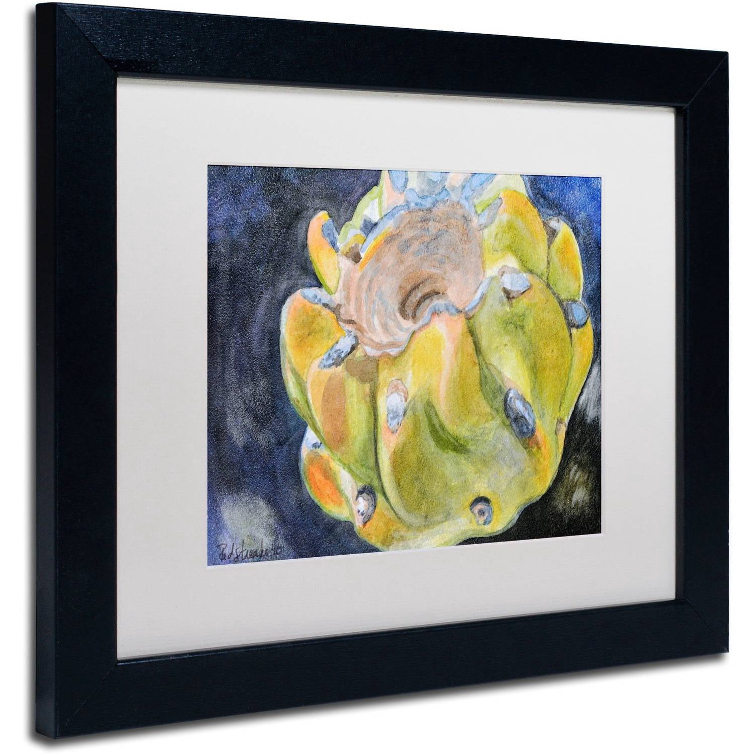 Trademark Fine Art "Cactus Fruit" Canvas Art by Jennifer Redstreake White Matte, Black Frame
