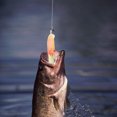 thumbnail image 2 of Señuelos de pesca Cebo suave de calamar ligero herramientas para aparejos suministros de Crankbait para pescador pescador Barbie Nuevos Originales, 2 of 6