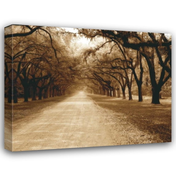 Alan Hausenflock 24x20 Gallery Wrapped Canvas Wall Art Titled - Savannah Oaks II