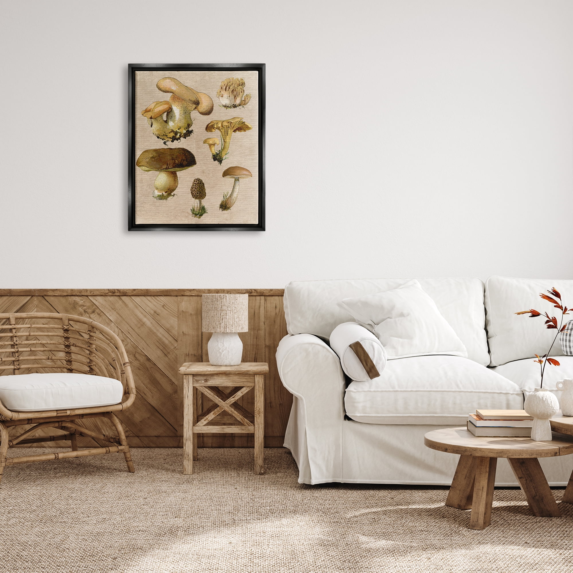 Stupell Industries Vintage Mushroom Drawings Botanical & Floral Painting Black Floater Framed Canvas Art Print Wall Art, 25 x 31