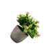 thumbnail image 1 of Wosthever Aspecto realista Artificial Suculenta Elegante Durabilidad Duradera Plástico ecológico Decoración nuevo babysbreath rosa, 1 of 6