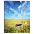 thumbnail image 2 of Antelopes Wandering under Bright Sky - African Canvas Art Print, 2 of 3