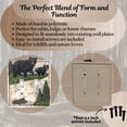thumbnail image 2 of Pine Tree & Bear Double Toggle Switch Cover Wall Plate - Black Bear on Birch Double Switch Cover, Rustic Cabin Wall Plate, Lodge Style Woodland Home Décor, 2 of 7