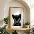 thumbnail image 4 of baby panther - Photography Black and White Animal Wildlife Portrait Cat Minimalist Oak Framed Wall Art Print 16 x 24 inches, 4 of 59