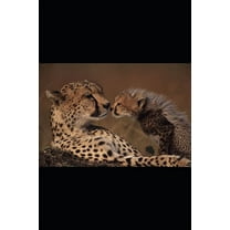 Poetic Retribution: Classic American Poetry (Paperback)