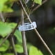thumbnail image 5 of Clips de injerto Higoodz 100 piezas de enredaderas fijas para suministros de jardinería al aire libre, 5 of 7
