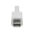thumbnail image 2 of SF Cable Mini DisplayPort Male to DVI Female Adapter Cable, 4-inches, 2 of 5