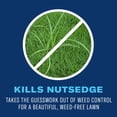 thumbnail image 5 of BioAdvanced Season Long Lawn Weed Killer, Ready-to-Spray, 32oz, Killer for Lawns, 5 of 6