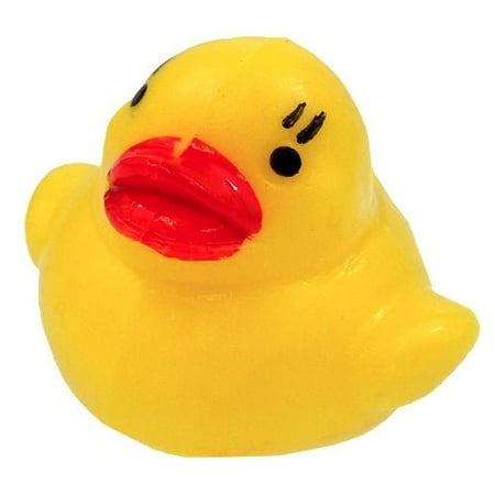 duck squishy toy