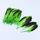 thumbnail image 3 of 50 plumas de pato salvaje teñidas de 135 mm para decoración de disfraces, sombreros y prendas de vestir. Verde, 3 of 9