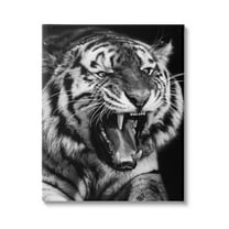 Stupell Industries Tiger Roaring Photography Animals & Insects Photography Gallery Wrapped Canvas Art Print Wall Art, 24 x 30