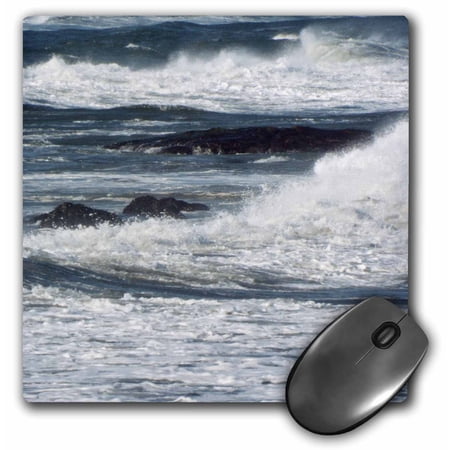 3dRose  Whitecap Waves Crashing On Rocks  MousePad price history on PriceWatchPro