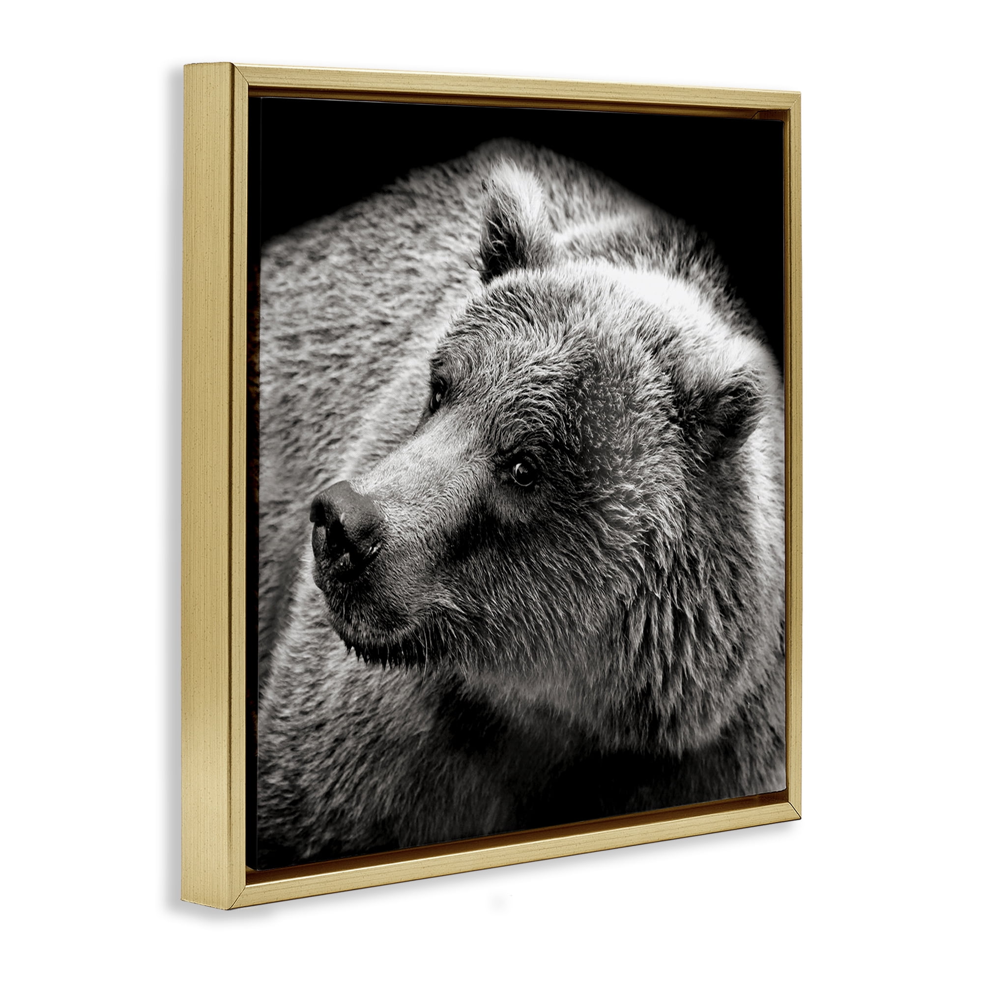 Stupell Industries Bear Looking Left Animals & Insects Photography Gold Floater Framed Canvas Art Print Wall Art, 18 x 18