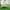 Green, variant on dajkiuy Wooden Bird Feeder, Fly Through Platform with Roof for Outside Hanging, Garden Backyard Decor, Great for Attracting Birds, Gift for Bird Lovers