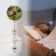 thumbnail image 4 of 10 Inch Wall Clock Battery Operated Silent Clock Decorative for Office, Kitchen, Outdoor, Living Room，Red Fox Jumping Running in Fresh Green Grass Daytime Painting, 4 of 4