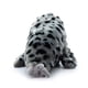 thumbnail image 4 of The Petting Zoo Mamá y Bebé Harbour Seal Regalos de Animales de Peluche para niños Pocketz Ocean Animals Harbor Seal Peluche de 14 Pulgadas, 4 of 4