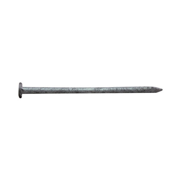 Pro-Fit 0054195 Exterior Common Nail, 16D X 3-1/2 in L, 0.165 in Shank