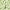 Z6 Natik Aloe, variant on Jordan Manufacturing 76" x 23" Natik Aloe Green Leaves Rectangular Outdoor Chaise Lounge Cushion with Ties