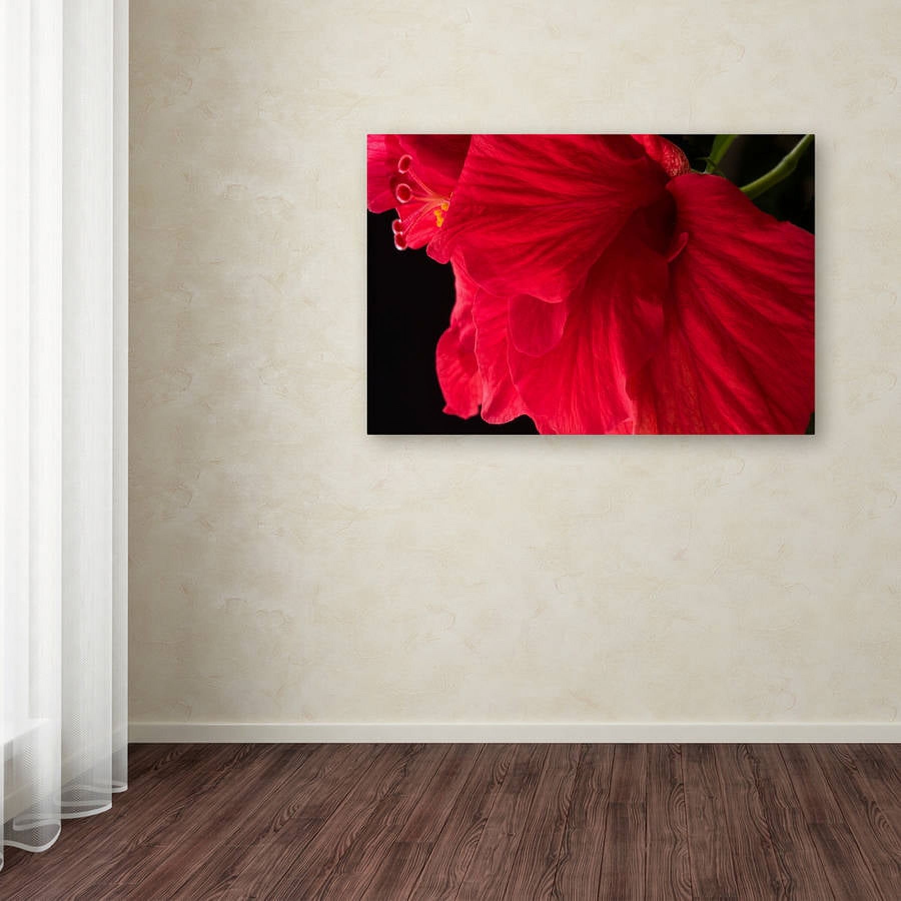 Trademark Fine Art "Red Double Hibiscus" Canvas Art by Kurt Shaffer