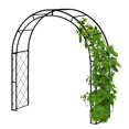 thumbnail image 1 of VegTrug Climbing Arch - Black, 1 of 6