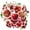 4A, variant on 35pcs-50pcs Berry Stickers PVC Graffiti Decals Juicy Stickers Sticker Pack for Luggage Suitcase Laptop