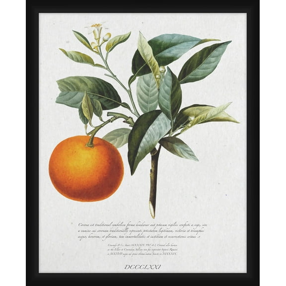 PTM Images Graphic Prints Abstract Framed Art Prints