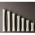 thumbnail image 2 of Yellow Door US YUS1033 Dinosaur Bones Match & Measure Set, 2 of 3