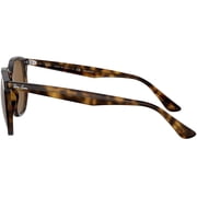 Ray-Ban Rb4306 Hexagonal Sunglasses