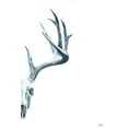 thumbnail image 2 of Fay, Mela 13x18 Gold Ornate Wood Framed with Double Matting Museum Art Print Titled - Antlers II, 2 of 4