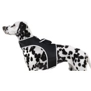 Mini Pet Realtime Tracker Advanced GPS Phone Tracking with Text Alerts Size:XS