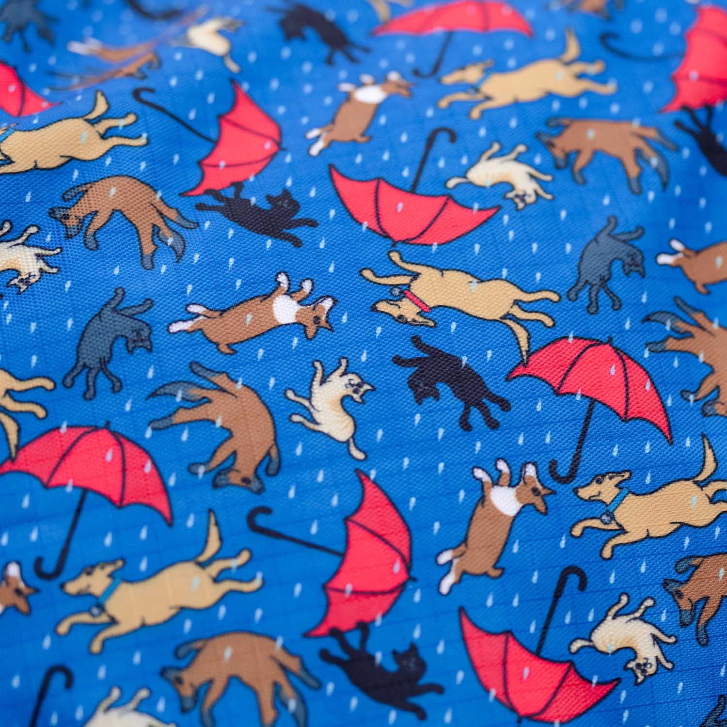 Raining Cats and Dogs セット Amazon.com: Graphic 45 Raining Cats & Dogs Set of 12 Sheets