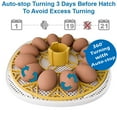 thumbnail image 3 of 12-24 Eggs Incubator with Auto Turning and Water Top-up for Hatching Chicks, 3 of 6