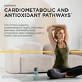 thumbnail image 5 of Integrative Therapeutics Berberine Phytomax - Heart & Metabolism Support* - Supplement for Cardiometabolic Health & Antioxidant Pathways Support* - Bioavailable for Enhanced Absorption - 60 Capsules, 5 of 8
