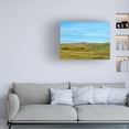 thumbnail image 3 of James McLoughlin 'Western Landscape Photo III' Canvas Art, 3 of 3