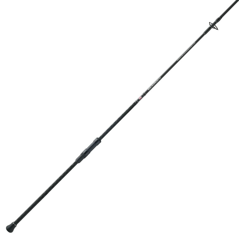 PENN Squadron IV Surf Spin Fishing Rod, 8' Medium - Walmart.com