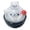 White Seal, variant on Pudding Seal Squishies,Realistic Taba Pudding Squishies Fidget Toy,Cute Kawaii Slow Rising Food Squeeze Toys,Soft & Stretchy Decompression Fidget Toys for Relaxing Anxiety Relief Party Favors