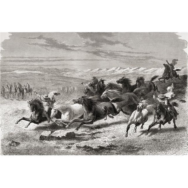 Design Pics DPI1903654 Argentinian Gauchos Rounding Up Wild Horses During The 19th Century From El Mundo En La Mano Published 1878 Poster Print, 18 x 11