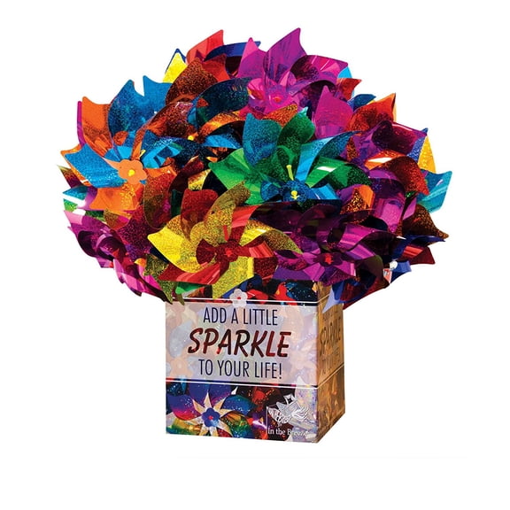 In the Breeze 2805-Packs — Classic Mylar Pinwheel - Assorted Two-Tone Color Spinners - 48 Pieces — Rainbow